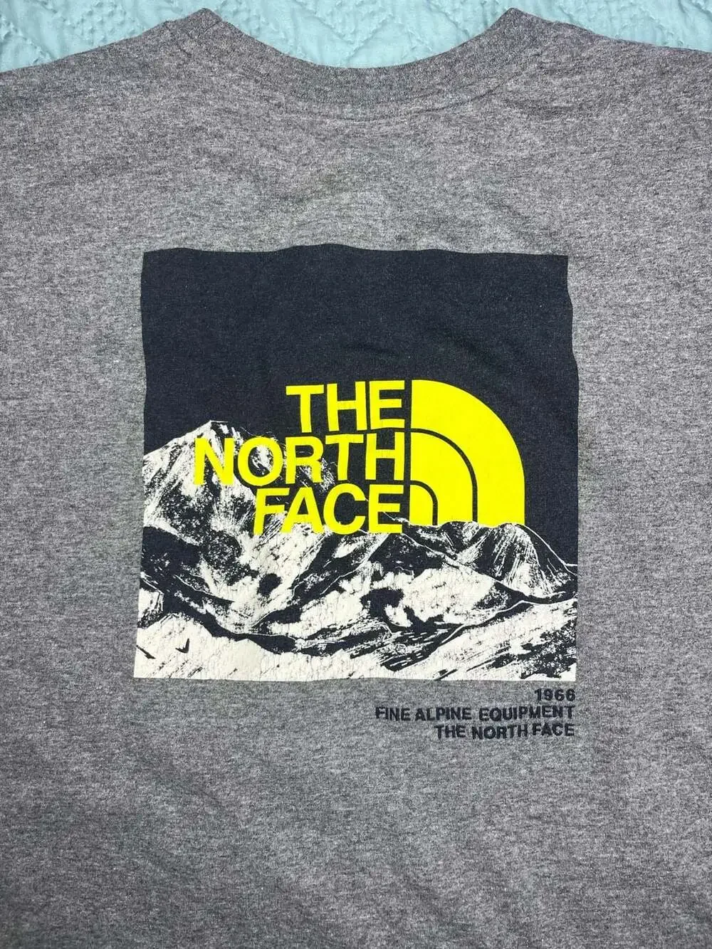 The North Face north face